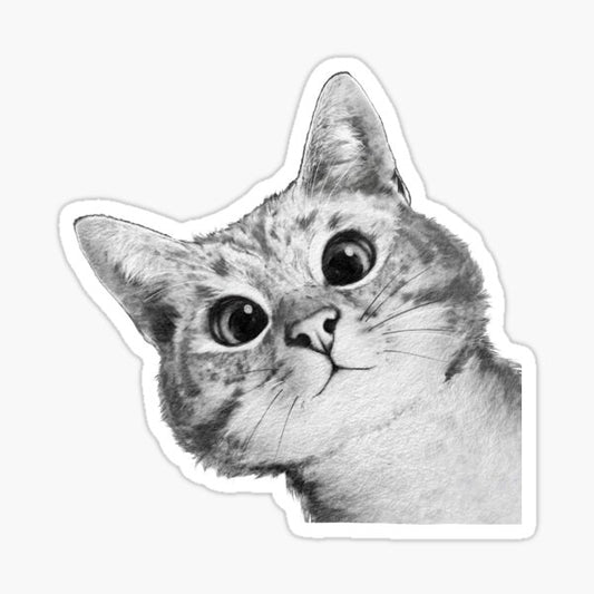 Cat Looking Sticker
