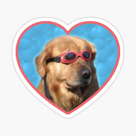Swimming Dog Sticker